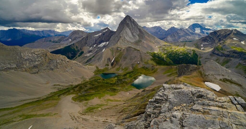 Smutwood in Kananaskis