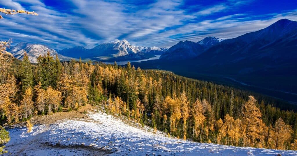 Kananaskis Larch Season Fall