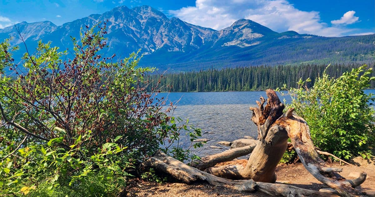 Pyramid Lake Jasper
