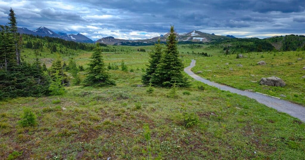 Sunshine Meadows Trail